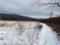 Cranberry Glades Botanical Area