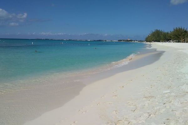 7 mile beach in Grand Caymans. First stop on the adventure of the seas and did the catamaran snorkel. Which was amazing. Highly recommended. The beach is very clean and we felt safe while there. We took the public bus back to Port which was about $5 a person.