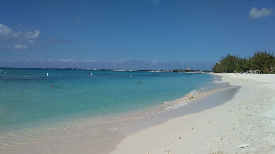 7 mile beach in Grand Caymans. First stop on the adventure of the seas and did the catamaran snorkel. Which was amazing. Highly recommended. The beach is very clean and we felt safe while there. We took the public bus back to Port which was about $5 a person.