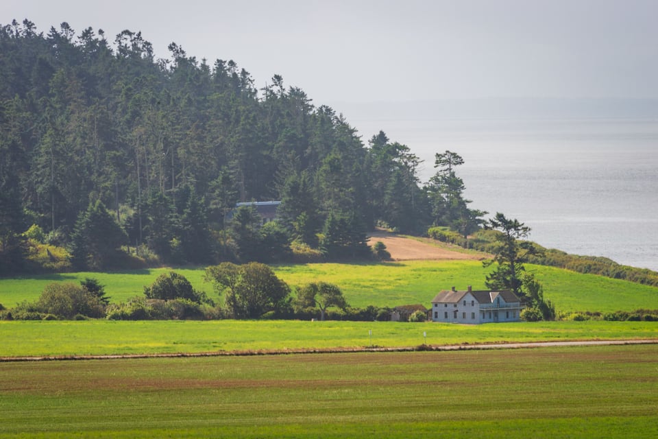 Un paisaje costero con una casa sobre una colina cubierta de hierba, un bosque denso y una masa de agua.