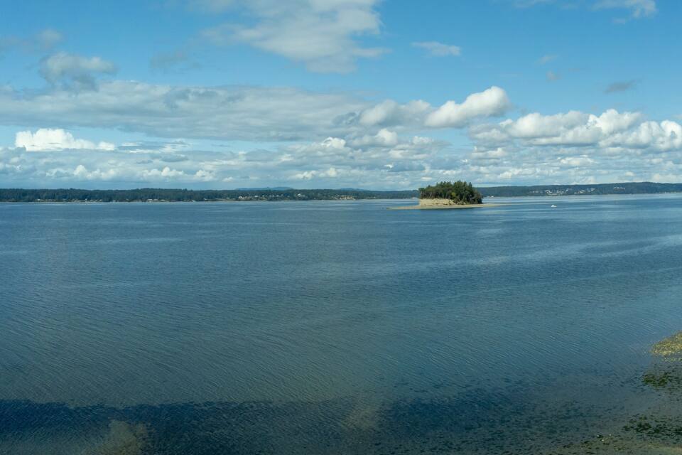 A calm body of water with a small island covered in trees.
