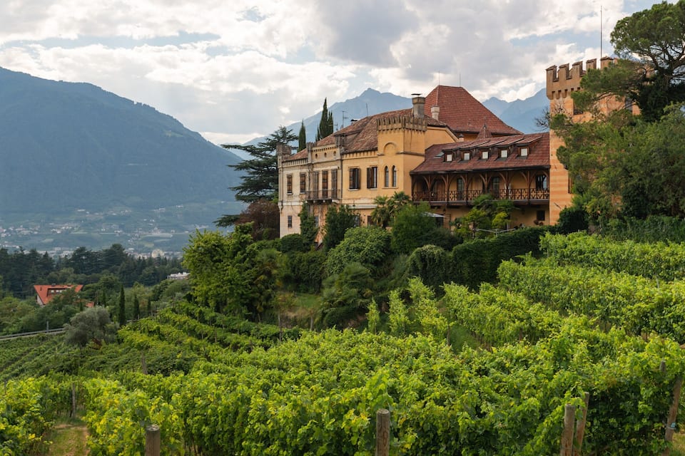 A vineyard with rows of grapevines, a historic building with a red-tiled roof, and mountains in the background.