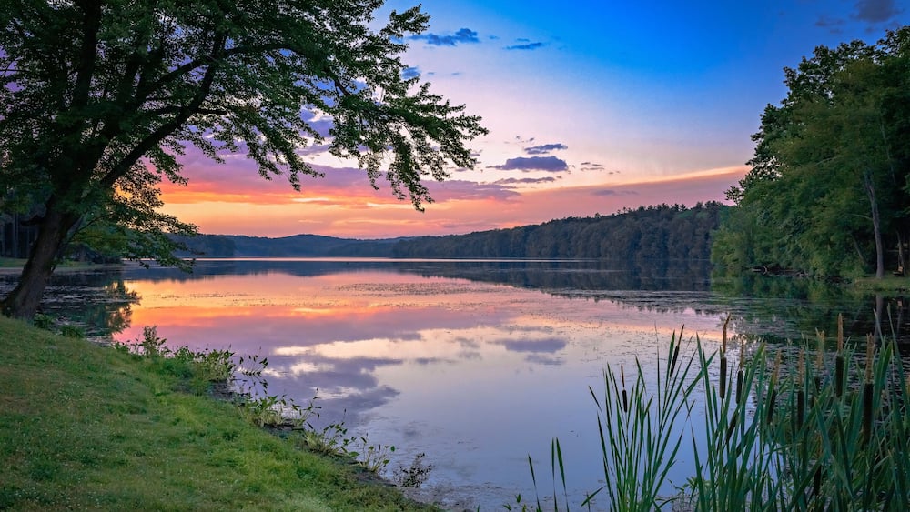 Un lac paisible au coucher du soleil, bordé d’arbres et d’herbe.