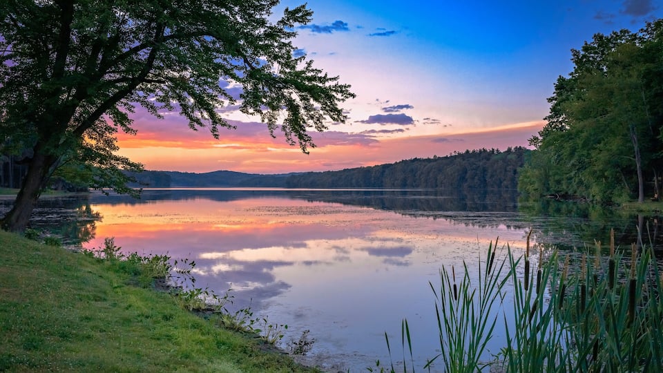A calm lake at sunset with trees and grass along the shore.