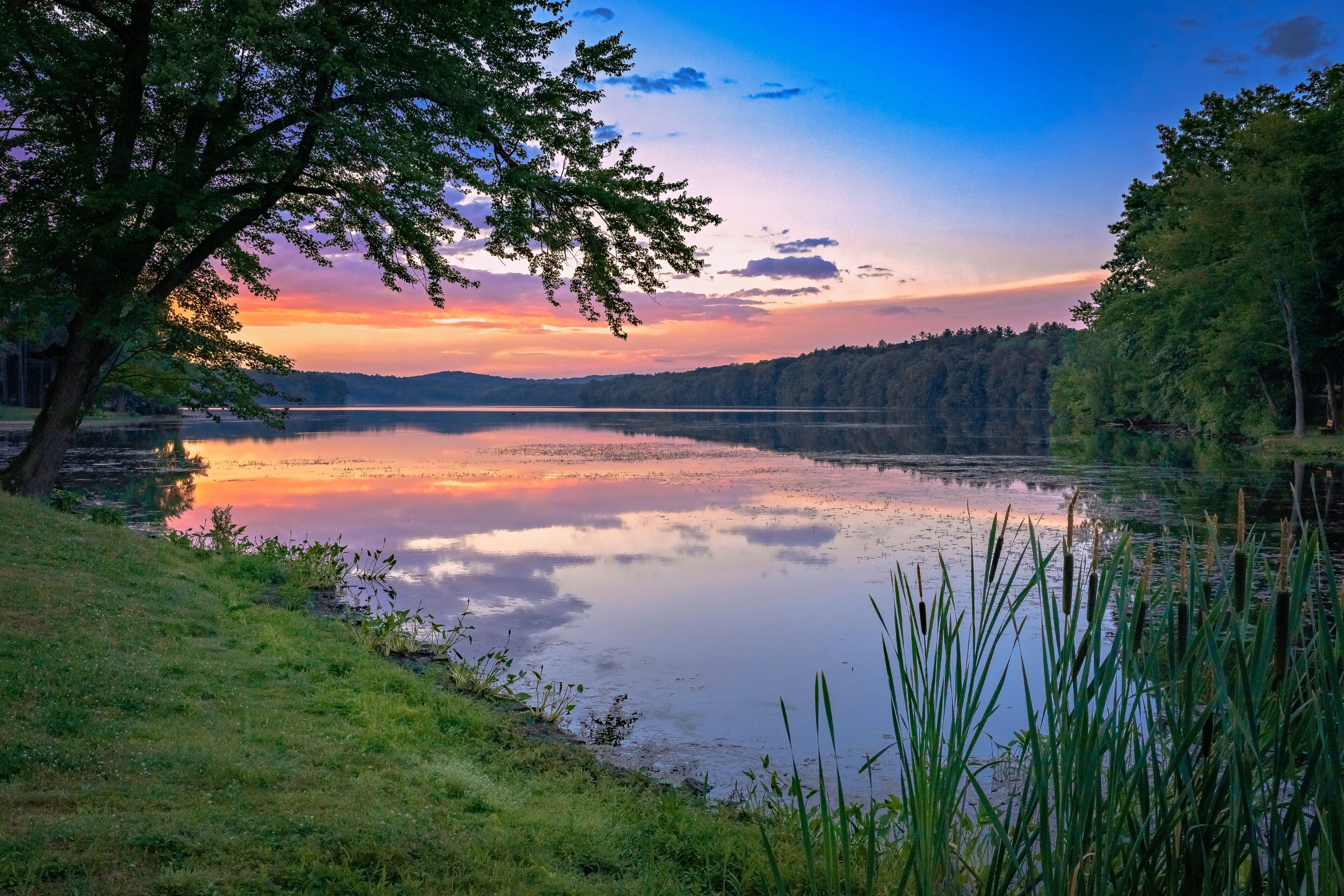 A calm lake at sunset with trees and grass along the shore.