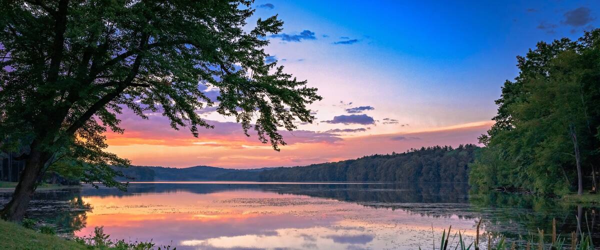 A calm lake at sunset with trees and grass along the shore.