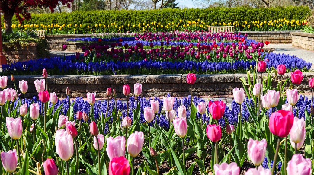 Arboretum del condado de Orange