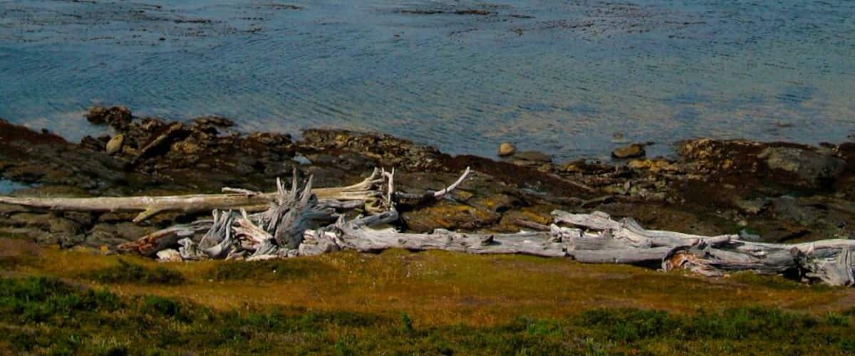and we can see the Strait of Magellan and the Dawson Island, in the Chilean Patagonia
