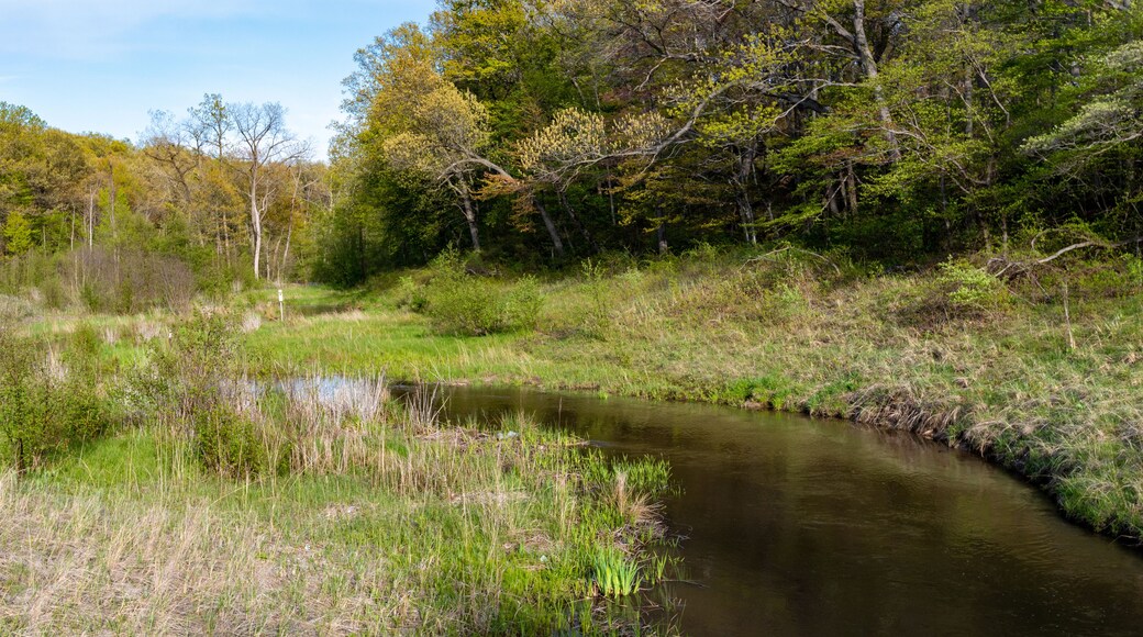 Beachfront along Lake Michigan in Indiana Dunes State Park