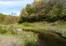 Beachfront along Lake Michigan in Indiana Dunes State Park