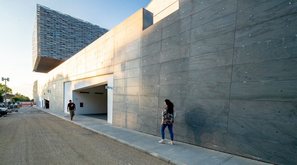 The New Florence Opera House