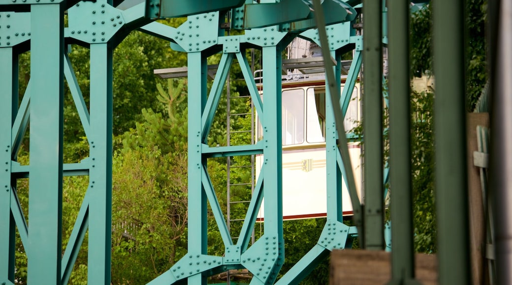 Dresden Suspension Railway which includes a bridge