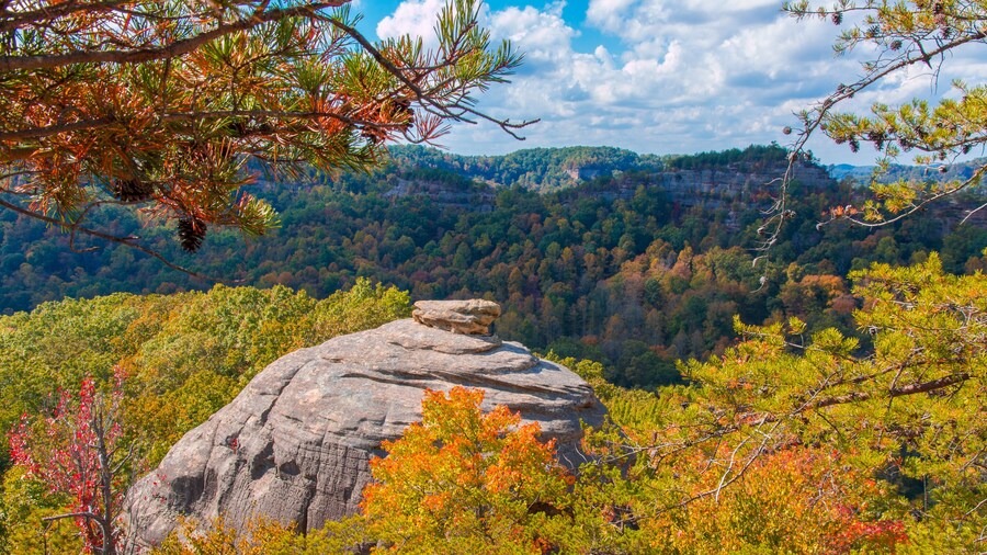 마운틴 뷰 공원