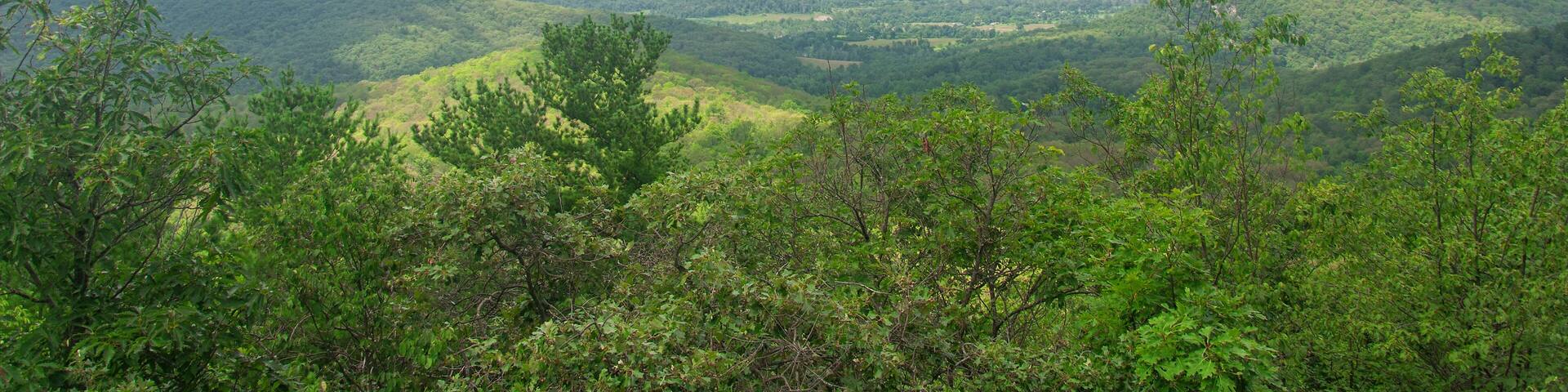 macedonia ridge trail kent connecticut