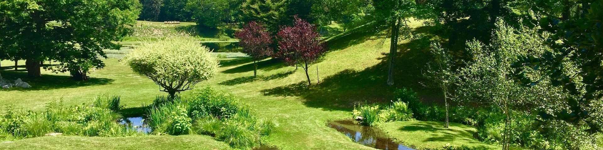 Just a sneak peak at a most wonderful gem of a garden...