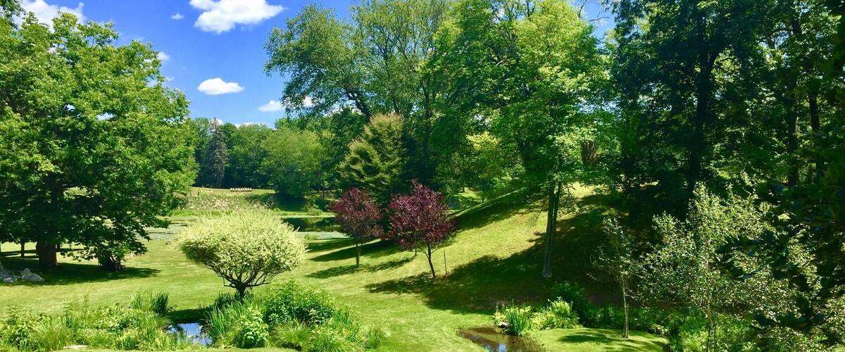 Just a sneak peak at a most wonderful gem of a garden...