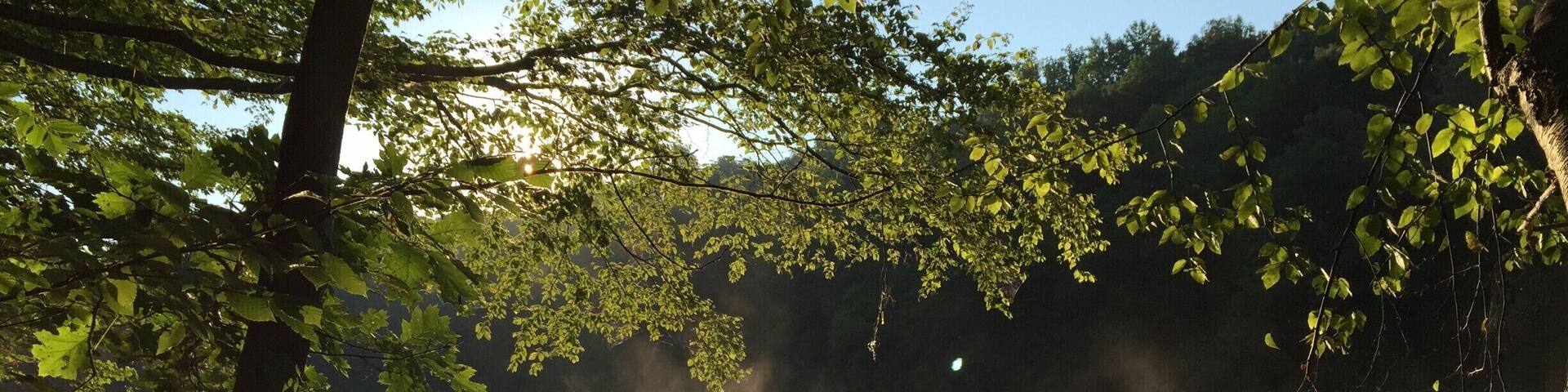 Lovely spot in Westchester, NY