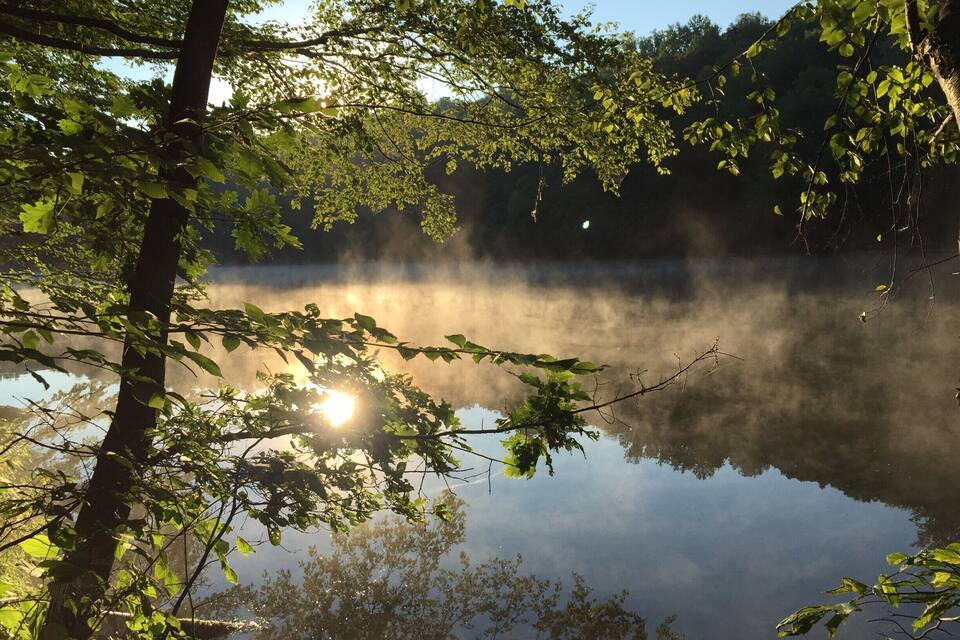 Un lago brumoso rodeado de árboles, con la luz del sol filtrándose entre las hojas.