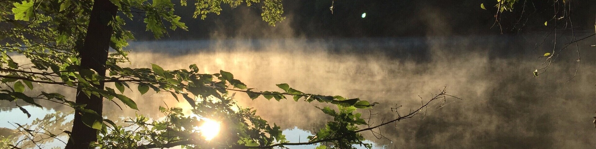 Lovely spot in Westchester, NY