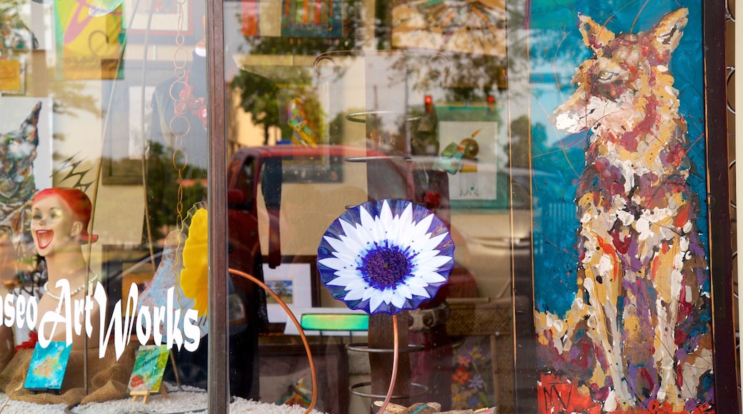 Paseo Arts District toont winkelen en kunst