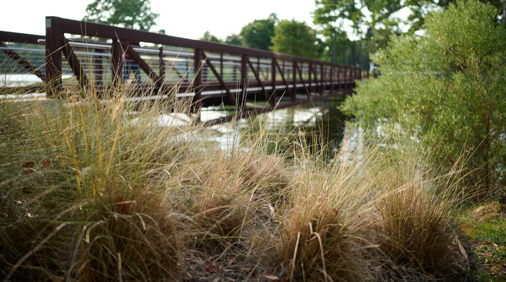 リバティー 市営公園