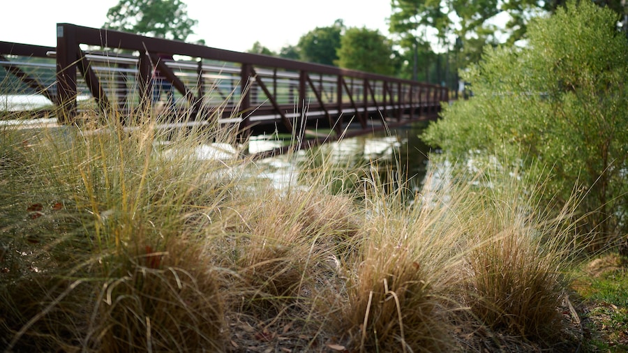 Liberty Municipal Park