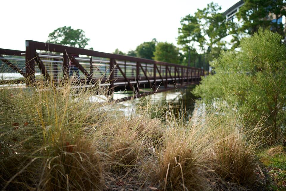 A metal bridge over a body of water with grass in the foreground.