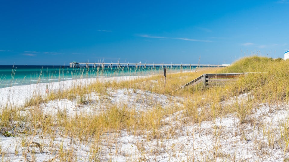A beach with sand dunes, a wooden boardwalk, and a pier extending into the ocean.