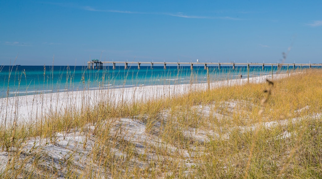 John Beasley Park showing general coastal views and a beach