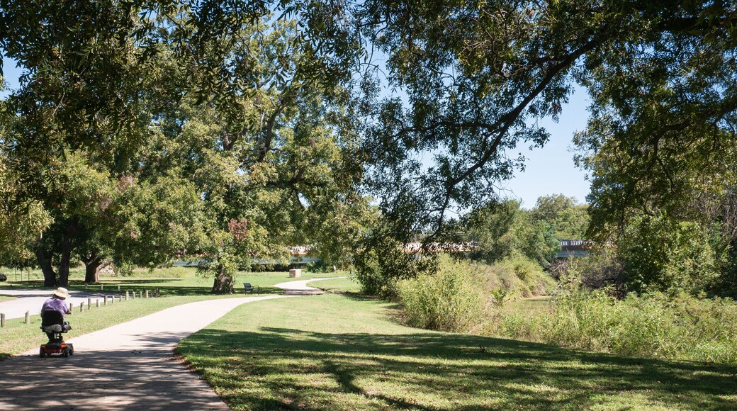 스티븐빌 도시 공원