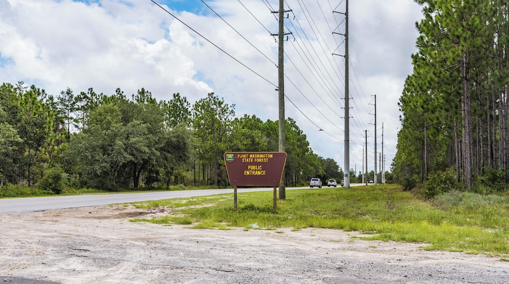 SantaRosaBeach_PointWashingtonStateForest_553248621560505606_03