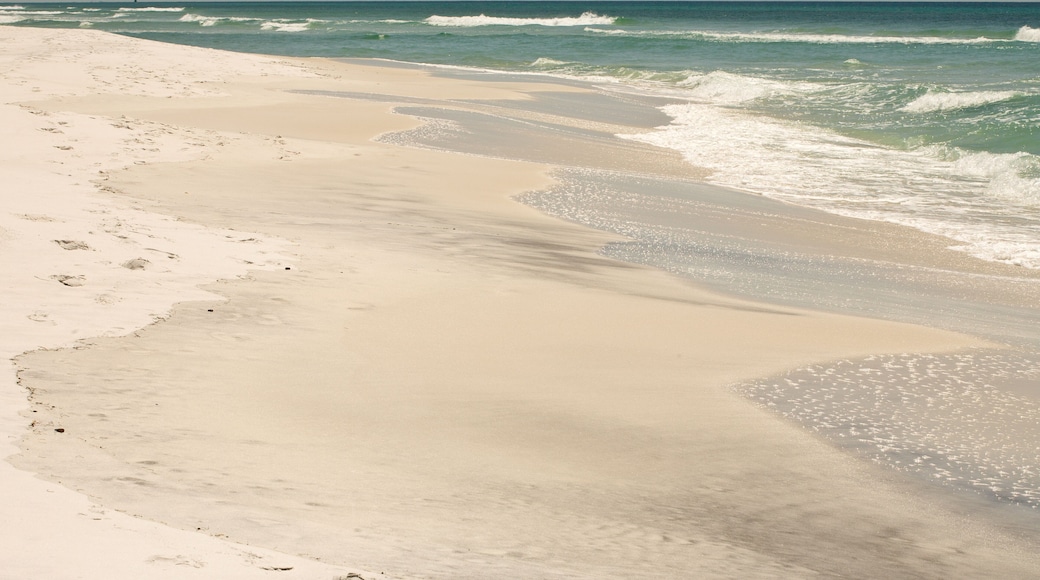 Reserva estatal de Topsail Beach