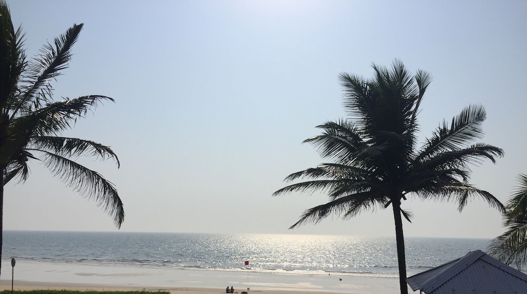 This is what I look out to whilst I'm practicing my early morning yoga at The Beach House Yoga Detox retreat :)