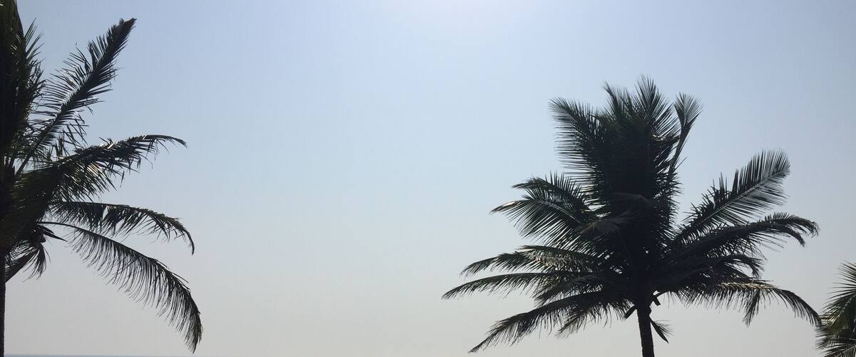 This is what I look out to whilst I'm practicing my early morning yoga at The Beach House Yoga Detox retreat :)