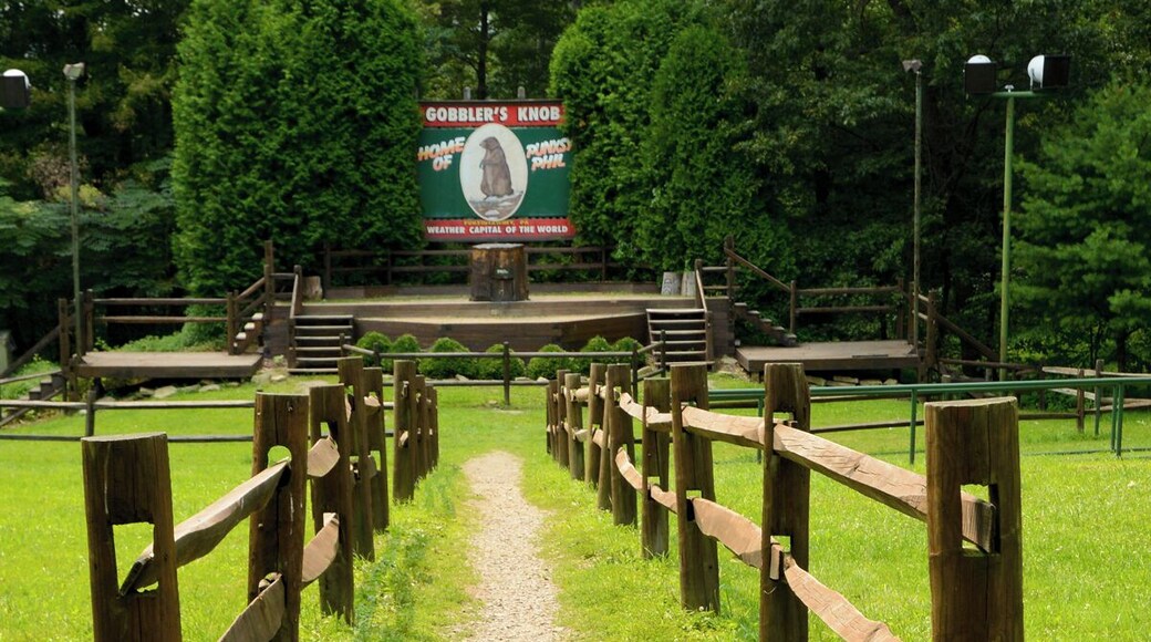 Mini Takes the States 2014 Road Rally Buffalo to Bethlehem Leg:
Gobblers Knob... well, I guess that is better than naming it Knob Gobblers. We stopped to see the famous ceremonial pulpit of Punxsutawney Phil, the mythical groundhog in Punxsutawney, Pennsylvania.
We have all seen Bill Murray in Groundhog Day but the ceremony of Phil's prognostication does not actually take place in town like the movie suggests but two miles east of town at the unusually named Gobblers Knob. The Movie was actually not even filmed in Punxsutawney but in Woodstock, Illinois.
The Groundhog Day celebration has its in Celtic tradition. If a hibernating animal casts a shadow on February 2, the Pagan holiday of Imbolc, winter will last another six weeks... no shadow early spring.
#minitakesthestates