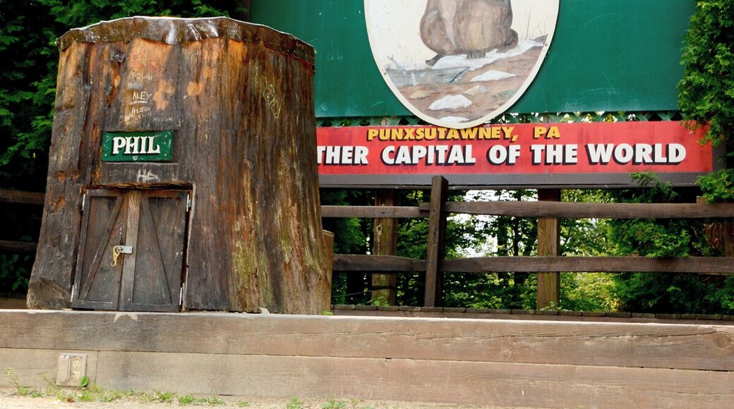 Mini Takes the States 2014 Road Rally Buffalo to Bethlehem Leg:
Gobblers Knob... well, I guess that is better than naming it Knob Gobblers.
We stopped to see the famous ceremonial pulpit of Punxsutawney Phil, the mythical groundhog in Punxsutawney, Pennsylvania. We have all seen Bill Murray in Groundhog Day but the ceremony of Phil's prognostication does not actually take place in town like the movie suggests but two miles east of town at the unusually named Gobblers Knob.
The Movie was actually not even filmed in Punxsutawney but in Woodstock, Illinois.
The Groundhog Day celebration has its in Celtic tradition. If a hibernating animal casts a shadow on February 2, the Pagan holiday of Imbolc, winter will last another six weeks... no shadow early spring.
#minitakesthestates