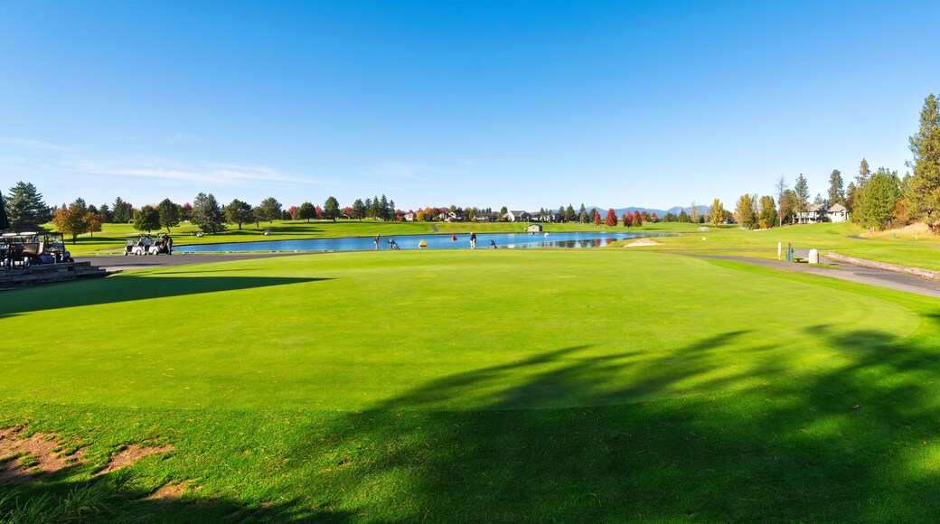 Liberty Lake golfbane