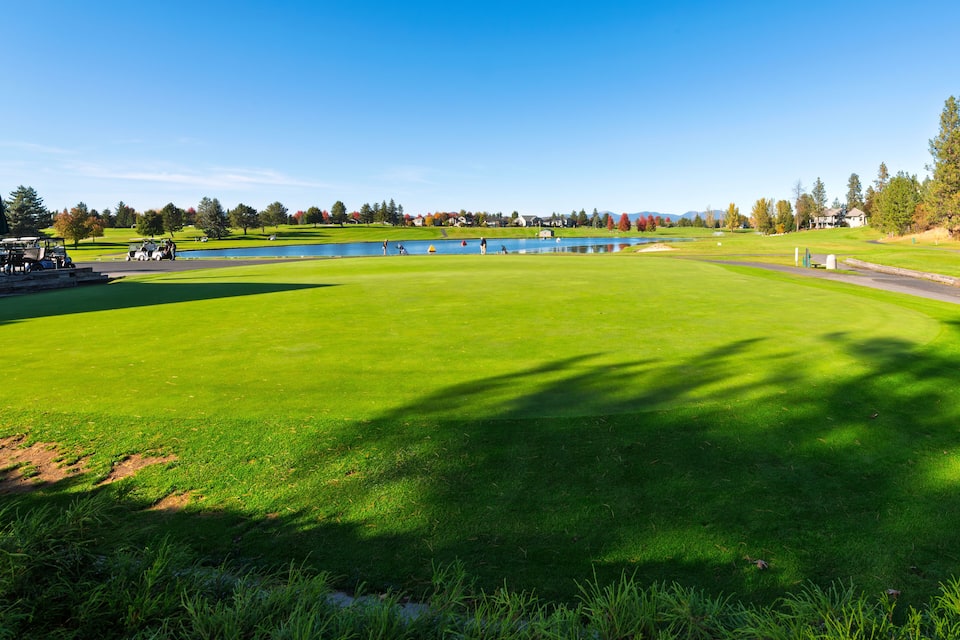 Un parcours de golf avec un étang, de l’herbe verte et un ciel bleu dégagé.