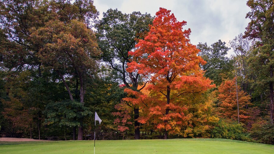 Campo de golfe de Sleepy Hollow
