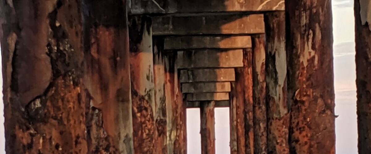 I see beauty in the ordinary stuff