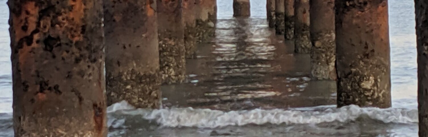 I see beauty in the ordinary stuff