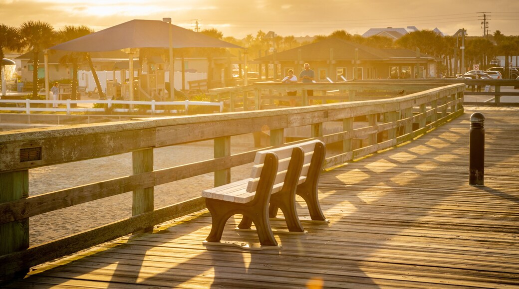 Florida showing a sunset