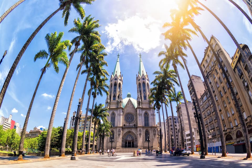 A cathedral with twin spires, surrounded by palm trees and urban buildings.