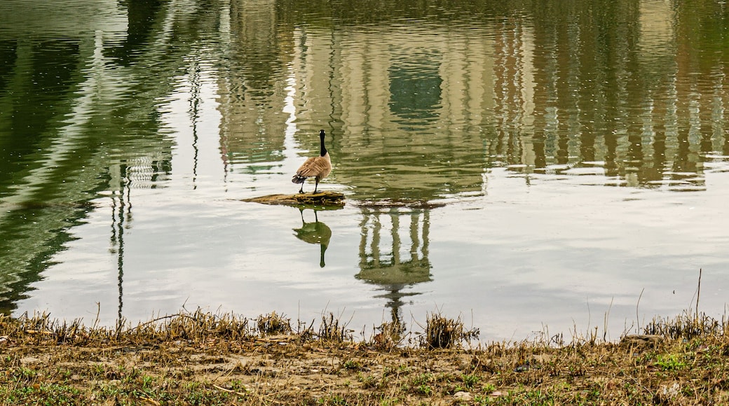 Tribunal de Butler County