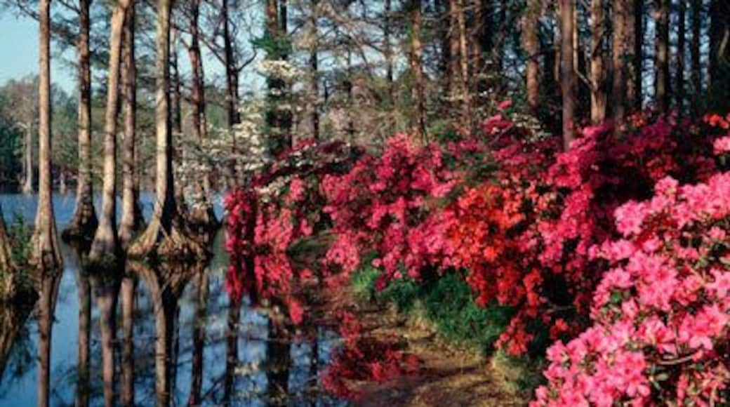 A8A333 Greenfield Gardens at Wilmington North Carolina