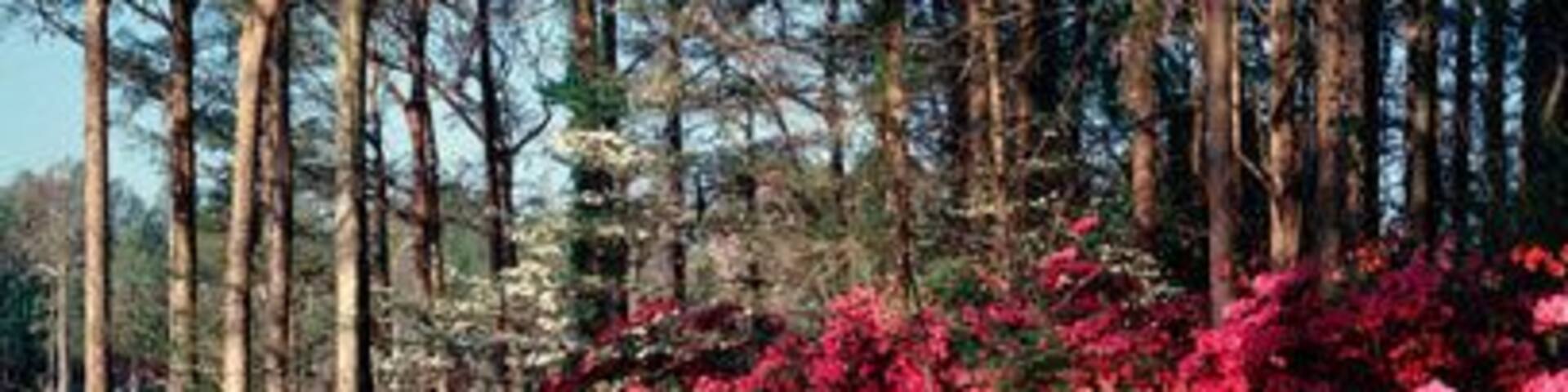 A8A333 Greenfield Gardens at Wilmington North Carolina