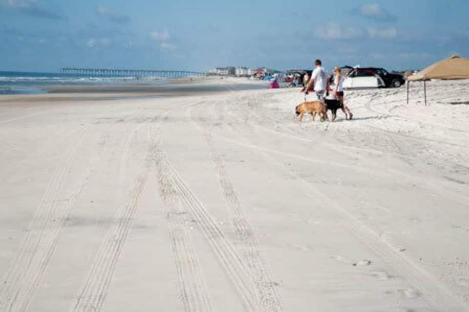 Una playa arenosa con huellas, un muelle al fondo y un perro caminando con una persona.