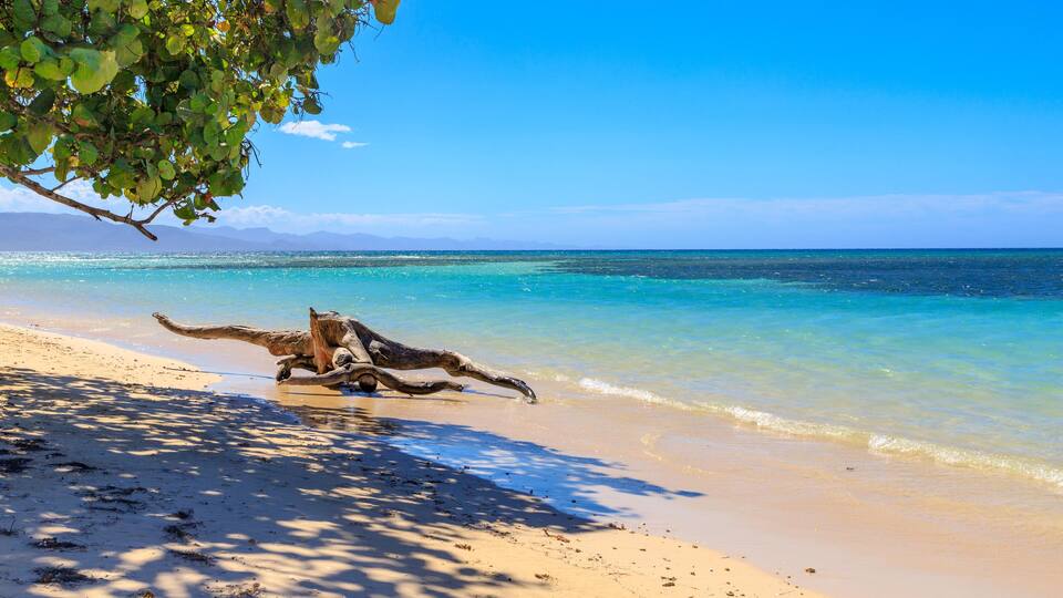 A beach with clear turquoise water, a large tree trunk on the sand, and a clear blue sky.