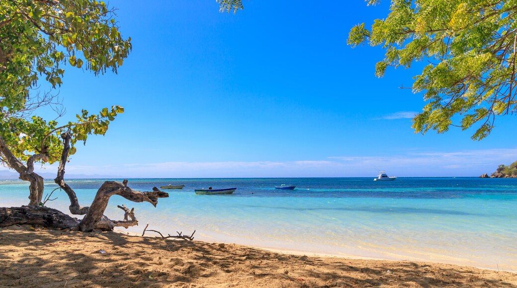 ๋น๋ผ ์ด์ฌ๋ฒจ๋ผ