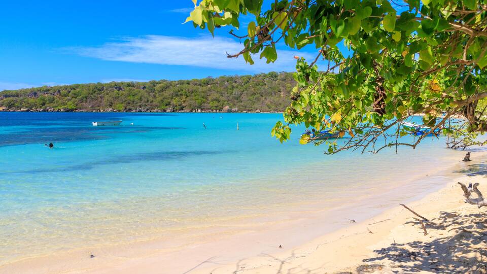 A beach with clear turquoise water, sandy shore, and green foliage.
